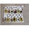 Image 1 : 12 ENCASED INSECT KEYCHAINS