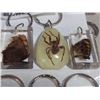 Image 4 : 12 ENCASED INSECT KEYCHAINS