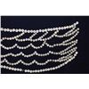 Image 8 : NATIVE AMERICAN CHINOOK BUTTON BLANKET BY CATHERINE HERROLD TROEH