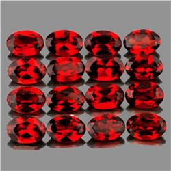 Natural Red Mozambique Garnet 16 Pcs{Flawless-VVS1}