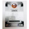 Image 2 : 2017 Black Diamond Team Logo Patch - Mike Bossy