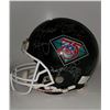 Image 1 : NFL HALL OF FAME 75TH ANNIVERSARY FULL-SIZE HELMET SIGNED BY (23) w/ SAYERS, STABLER, STARR + More