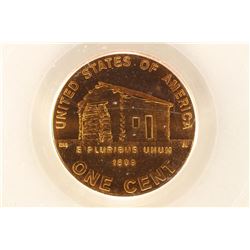 2009-D EARLY BIRTH & CHILDHOOD LINCOLN CENT