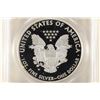 Image 2 : 2010-W AMERICAN SILVER EAGLE PCGS PR69 DCAM