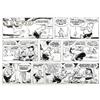 Image 1 : Walt Kelly - Pogo Sunday Comic Strip Original