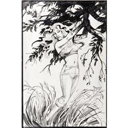 John Totleben - Abigail Arcane Illustration