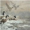 Image 2 : Larry Fanning (1938-2014), "Winter Retreat - Canada Geese" Limited Edition Lithograph, Numbered and 