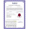 Image 2 : Genuine 7.5 ctw Ruby Ring 14KT Rose Gold - REF-82F2Z