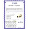 Image 2 : Genuine 1.0 ctw Black Diamond Earrings 14KT White Gold - REF-57H6X