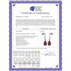 Image 2 : Genuine 6.88 ctw Ruby & Diamond Earrings 14KT White Gold - REF-47A3K