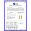 Image 2 : Genuine 3.2 ctw Citrine Earrings 14KT Yellow Gold - REF-30N2R