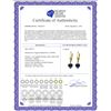 Image 2 : Genuine 3.1 ctw Sapphire Earrings 14KT Yellow Gold - REF-42P2H