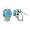 Image 1 : Natural 2.47 CTW Turquoise & Diamond Earrings 14K White Gold - REF-55T8X