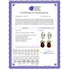 Image 2 : Genuine 14.3 ctw Garnet & Peridot Earrings 14KT White Gold - REF-93X3M