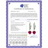 Image 2 : Genuine 3.2 ctw Ruby & Diamond Earrings 14KT White Gold - REF-72K3V
