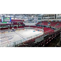 Idaho Steelheads Deluxe Hockey Night