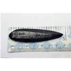 11)  NATURAL POLISHED 400 MILLION YEAR