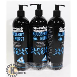 BUNDLE OF 3 PROFESSIONAL BLUEBERRY BURST CLEANSING
