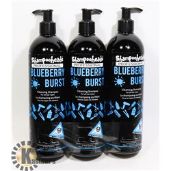BUNDLE OF 3 PROFESSIONAL BLUEBERRY BURST CLEANSING