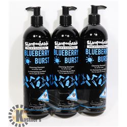 BUNDLE OF 3 PROFESSIONAL BLUEBERRY BURST CLEANSING
