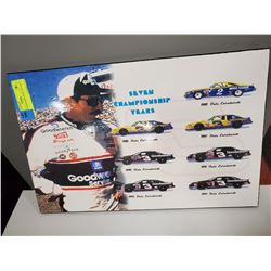 11"X17" EARNHARDT WALL PLAQUE