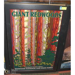 GIANT REDWOODS NATIONAL AND STATE PARKS