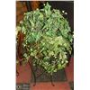 Image 1 : METAL+WICKER PLANT STAND ,27 IN HIGH  +PLANT
