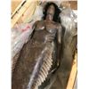 Image 1 : Full-size Mermaid Prop