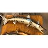 Image 1 : Wall mount Barracuda
