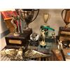 Image 2 : Misc Trophies