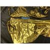 Image 2 : golden mermaid costume with fin