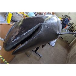 16ft Killer Whale Black