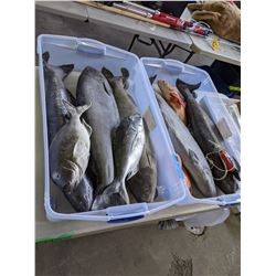 2 buckets of rubber fish movie prop