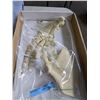Image 3 : Bottlenose Dolphin Pectoral Fin (Flipper)