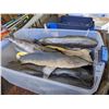 Image 1 : Miscellaneous Latex Fish, Star Fish, Shrimp