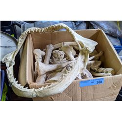 Movie Prop Styrofoam Bones