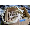 Image 1 : Movie Prop Styrofoam Bones