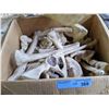 Image 2 : Movie Prop Styrofoam Bones