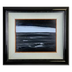 Framed Wyland Original Painting