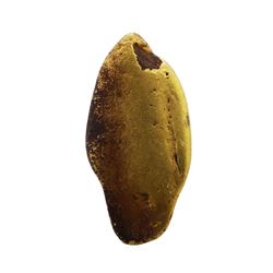 12.25 Gram Gold Nugget