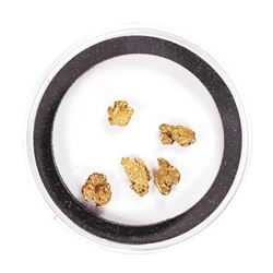 Lot of Gold Nuggets 2.48 grams Total Weight