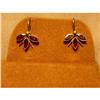 Image 1 : Really Pretty Victorian Garnet Earrings #1323439