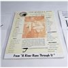 Image 2 : Bunyan Bug Floating Fly Counter Display (Repro)
