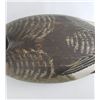 Image 2 : Wildfowler Old Saybrook Canada Goose