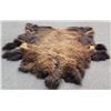 Image 1 : Large Taxidermy Montana Buffalo Hide Robe Rug