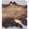 Image 2 : Large Taxidermy Montana Buffalo Hide Robe Rug