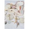 Image 4 : Large Lot of Seashells