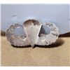 Image 2 : Original WW2 Custom Made 11th Airborne Jump Wings