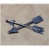 Image 2 : US Army Special Forces Vietnam Sterling Arrows