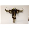 Image 2 : ANTIQUE CREE MADE BISON HORN WALL MOUNT RACK